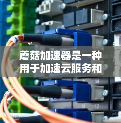 蘑菇加速器是一种用于加速云服务和网络连接的工具，主要应用于开源云服务和容器化加速领域。以下是对蘑菇加速器的详细介绍