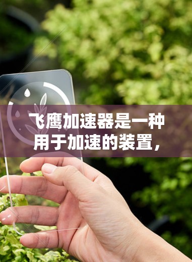 飞鹰加速器是一种用于加速的装置，通常用于火箭、飞机或飞行器的加速过程。以下是关于飞鹰加速器的详细信息