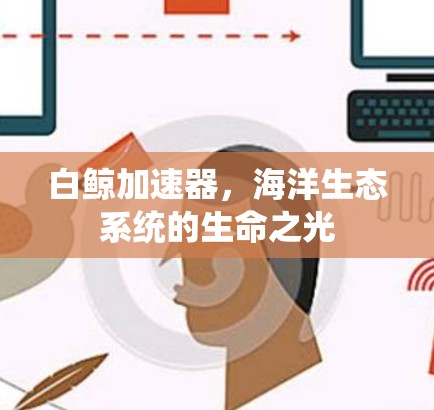 白鲸加速器，海洋生态系统的生命之光