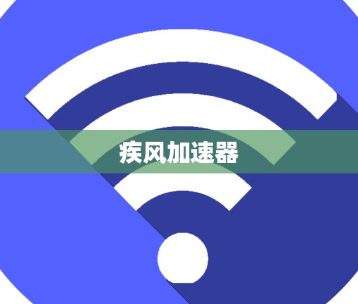 疾风加速器