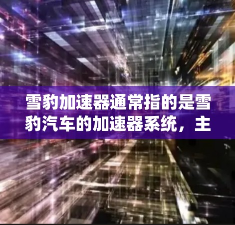 雪豹加速器通常指的是雪豹汽车的加速器系统，主要用于提升汽车的加速性能。雪豹汽车以其强劲的加速能力著称，其加速器系统在该汽车品牌中属于代表性的加速器之一