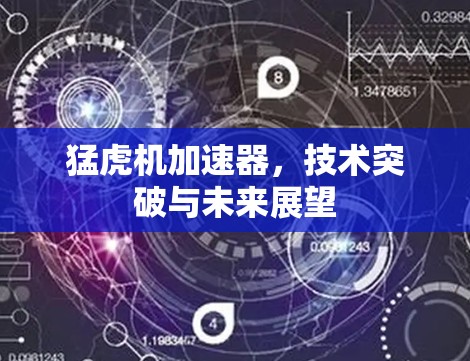 猛虎机加速器，技术突破与未来展望