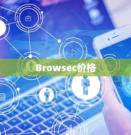 Browsec价格