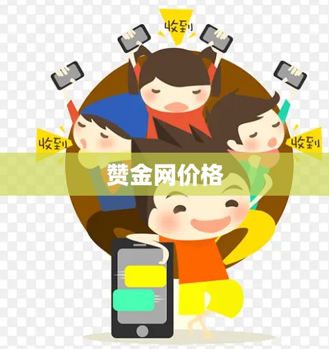 赞金网价格