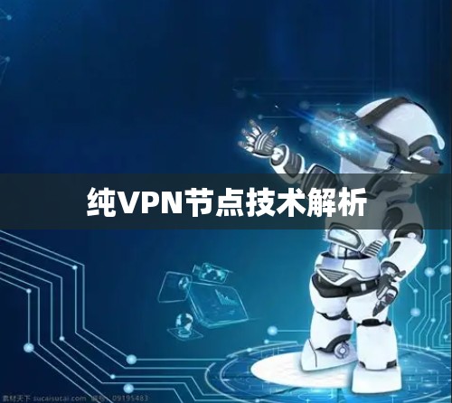 纯VPN节点技术解析