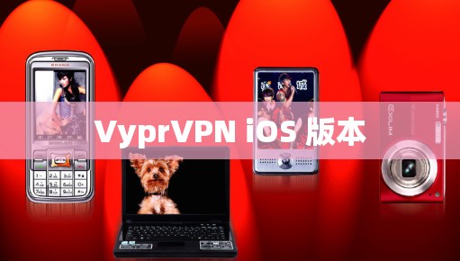 VyprVPN iOS 版本