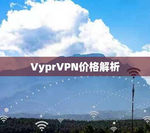 VyprVPN价格解析