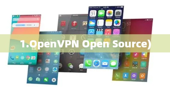 1.OpenVPN Open Source)