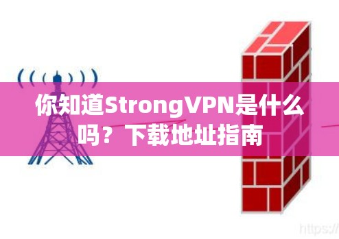 你知道StrongVPN是什么吗？下载地址指南