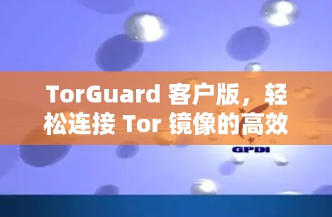 TorGuard 客户版，轻松连接 Tor 镜像的高效解决方案