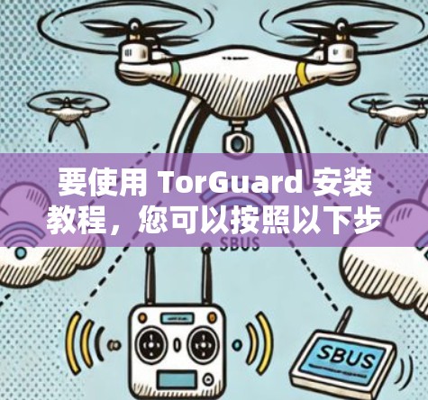 要使用 TorGuard 安装教程，您可以按照以下步骤进行