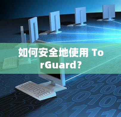 如何安全地使用 TorGuard？