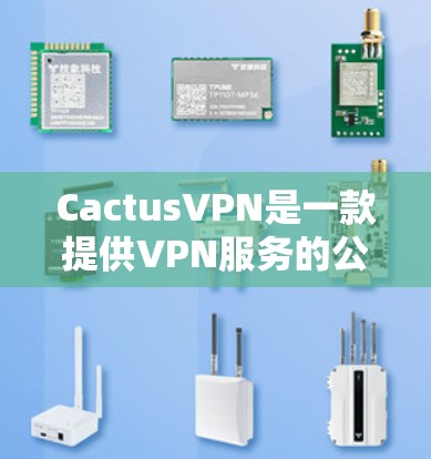 CactusVPN是一款提供VPN服务的公司，如果你指的是CactusVPN免费版，这是一个基础版本，通常不包含所有高级功能。以下是一些关于CactusVPN免费版的详细信息