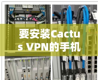 要安装Cactus VPN的手机版，您可以按照以下步骤操作
