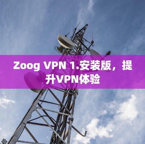 Zoog VPN 1.安装版，提升VPN体验