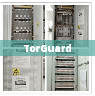 TorGuard TorGuard