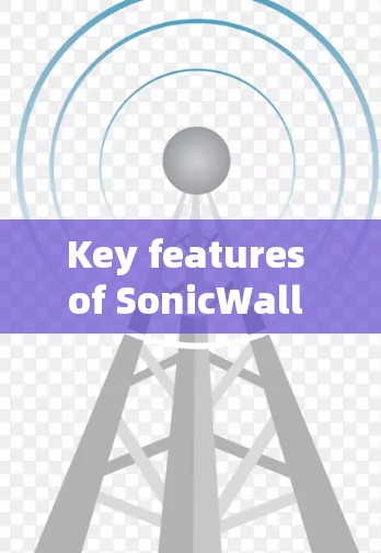Key features of SonicWall VPN include: