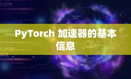 PyTorch 加速器的基本信息