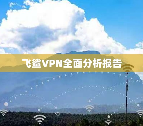 飞鲨VPN全面分析报告