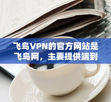飞鸟VPN的官方网站是飞鸟网，主要提供端到端的VPN服务，包括端口过滤、加密、安全认证等功能。以下是对飞鸟VPN的详细分析
