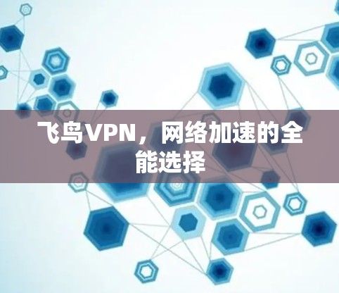 飞鸟VPN，网络加速的全能选择