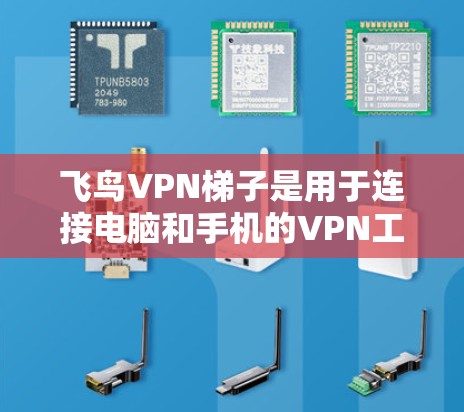 飞鸟VPN梯子是用于连接电脑和手机的VPN工具，提供多种加密协议和端口隔离功能。为了提升其安全性，可以从以下几个方面入手