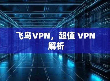 飞鸟VPN，超值 VPN 解析