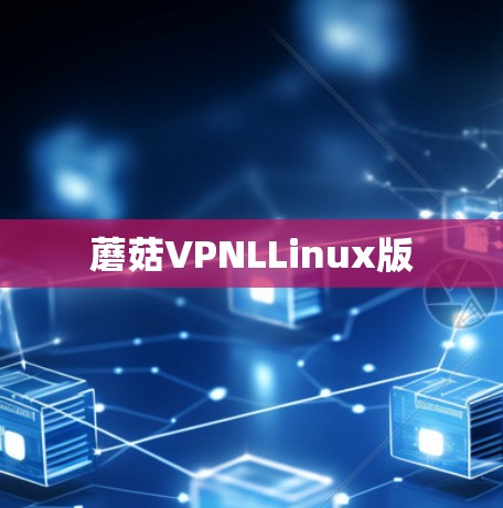 蘑菇VPNLLinux版