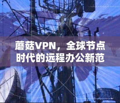 蘑菇VPN，全球节点时代的远程办公新范式