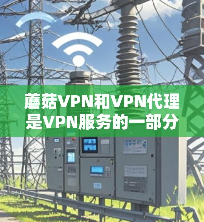 蘑菇VPN和VPN代理是VPN服务的一部分，但它们在功能和适用场景上有显著区别。以下是详细的对比和总结