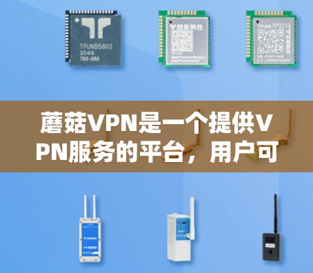 蘑菇VPN是一个提供VPN服务的平台，用户可以根据自己的需求选择适合的版本和功能。如果你想知道蘑菇VPN的最新版本或功能更新，可以参考平台的官方文档或社区讨论