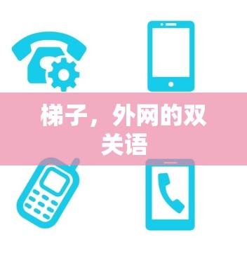 梯子,外网的双关语 梯子,外网的双关语