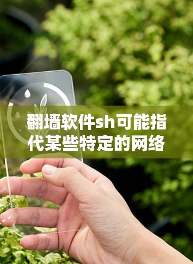 翻墙软件sh可能指代某些特定的网络翻墙工具或软件包。以下是一些可能的解释 翻墙软件sh可能指代某些特定的网络翻墙工具或软件包。以下是一些可能的解释