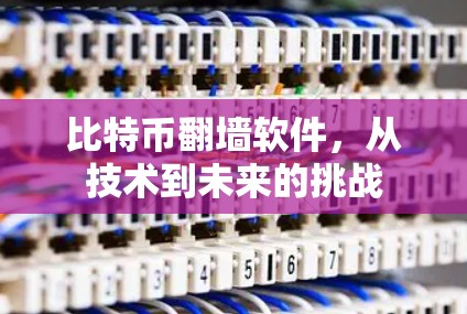比特币翻墙软件,从技术到未来的挑战 比特币翻墙软件,从技术到未来的挑战