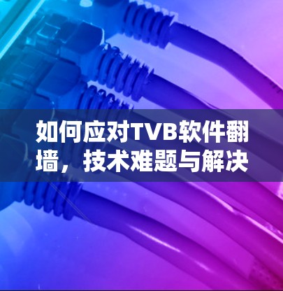 如何应对TVB软件翻墙,技术难题与解决方案 如何应对TVB软件翻墙,技术难题与解决方案