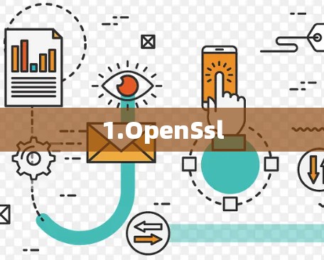 1.OpenSsl 1.OpenSsl