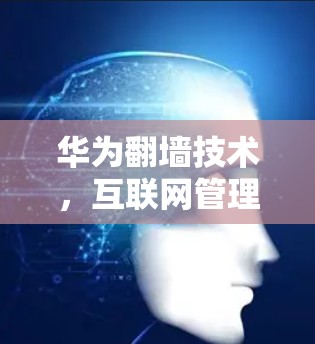 华为翻墙技术,互联网管理的创新之路 华为翻墙技术,互联网管理的创新之路