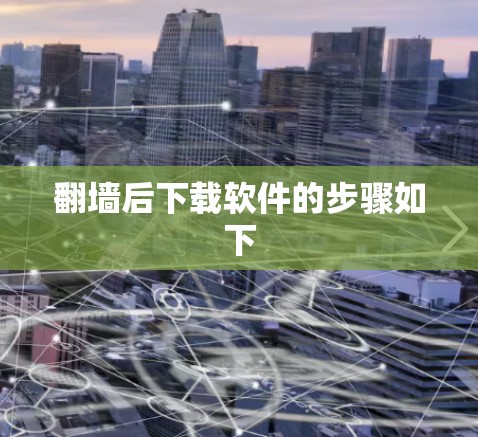 翻墙后下载软件的步骤如下 翻墙后下载软件的步骤如下