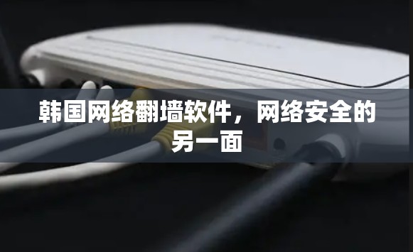 韩国网络翻墙软件,网络安全的另一面 韩国网络翻墙软件,网络安全的另一面