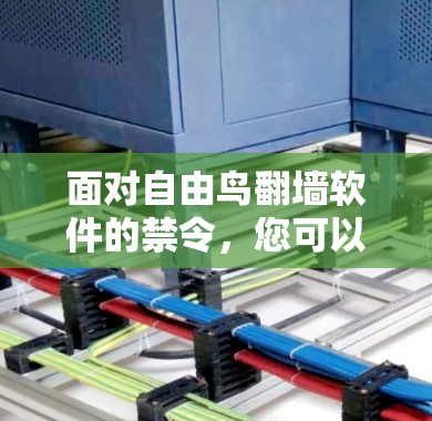 面对自由鸟翻墙软件的禁令,您可以采取以下步骤来解决问题 面对自由鸟翻墙软件的禁令,您可以采取以下步骤来解决问题