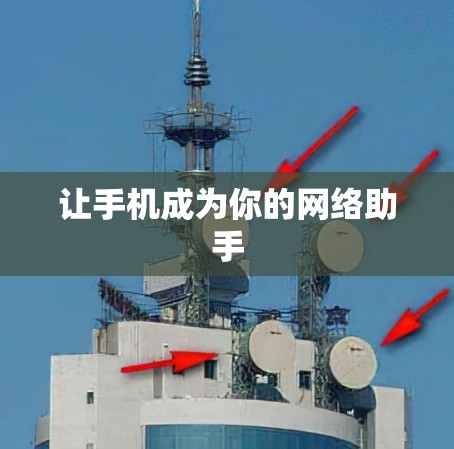 让手机成为你的网络助手 让手机成为你的网络助手