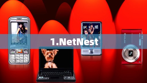 1.NetNest 1.NetNest