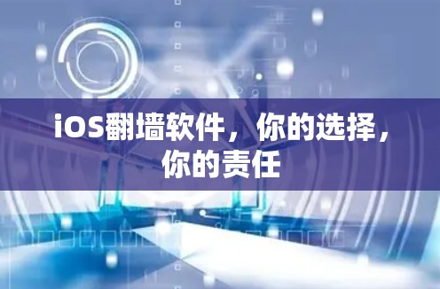 iOS翻墙软件,你的选择,你的责任 iOS翻墙软件,你的选择,你的责任