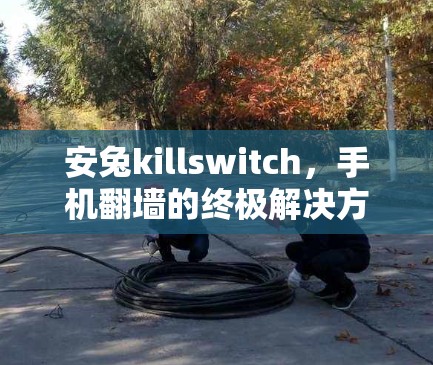 安兔killswitch，手机翻墙的终极解决方案