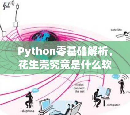Python零基础解析，花生壳究竟是什么软件？