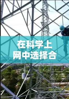 在科学上网中选择合适的插件是一个好决策。以下是一些适合科学计算的插件推荐，涵盖公式编辑、计算工具和文档处理