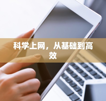 科学上网,从基础到高效 科学上网,从基础到高效