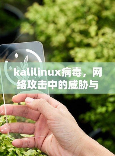 kalilinux病毒，网络攻击中的威胁与科学上网的反病毒之路