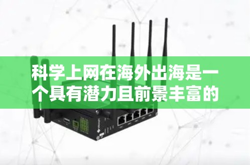 科学上网在海外出海是一个具有潜力且前景丰富的领域，以下是详细的分析和建议