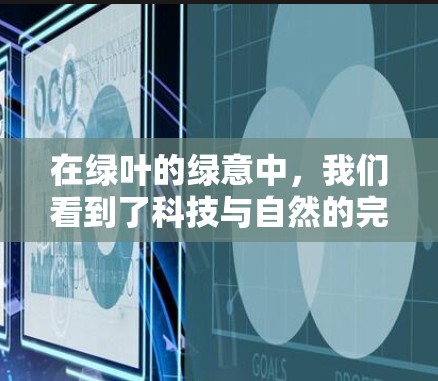 在绿叶的绿意中，我们看到了科技与自然的完美融合。绿色网络设备，以其简洁而优雅的外观，成为现代科技的焦点。这些设备不仅外表清新，更蕴含着强大的计算能力，成为连接未来的重要桥梁